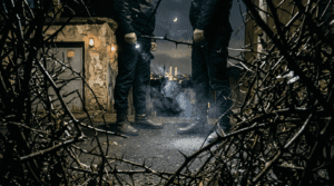 woulfe-in-the-bushes